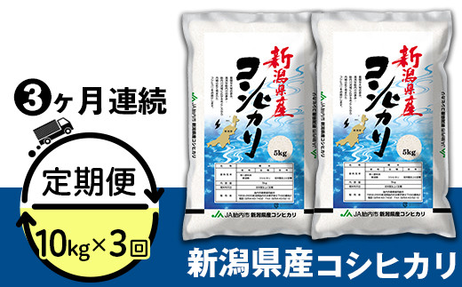 23-K103R4【3ヶ月連続お届け】新潟県中条産コシヒカリ10kg（5kg×2袋）