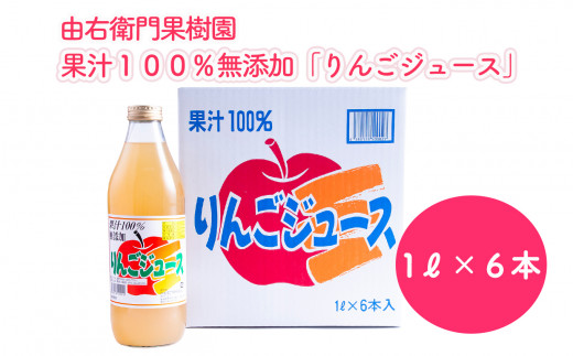 あなたのお気に入り見つけよう りんごジュース 果汁100％ 無添加 1L×6