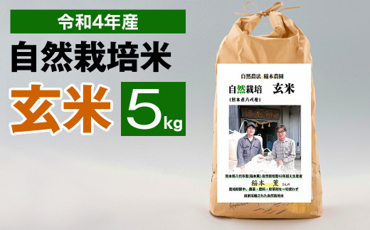 令和4年度産 熊本県産 自然栽培米 稲本一号 玄米 5kg