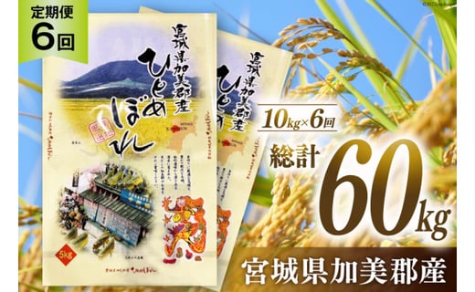 6回 米 定期便 】加美郡産 ひとめぼれ 10kg (5kg×2袋)×6回 総計60kg