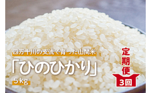 生産者直売 ひのひかり米 籾30Kg×2俵