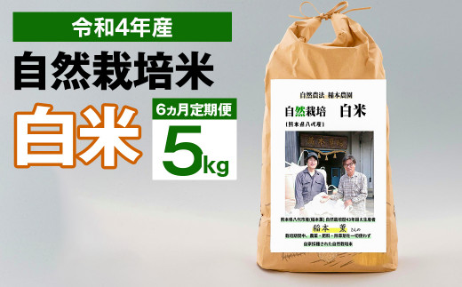 【6ヶ月定期便】令和4年度産 熊本県産 自然栽培米 稲本一号 白米 5kg
