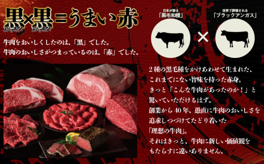 【2023年2月より順次発送】宮崎県産牛「理想の黒牛焼肉(タレ漬け)」1.2kg(400g×3パック)