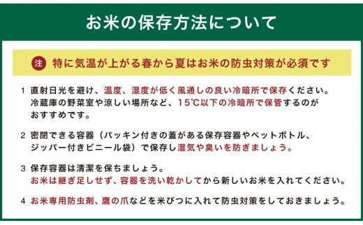 【6ヶ月定期便】令和4年度産 熊本県産 自然栽培米 稲本一号 玄米 5kg