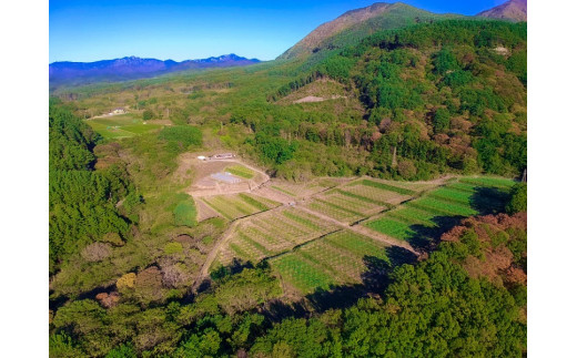 ふるさと納税 山梨県 北杜市 【2023年先行予約】八ヶ岳南麓自然