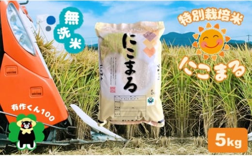 AI8 特別栽培米 「無洗米にこまる」5kg 熊本玉名産