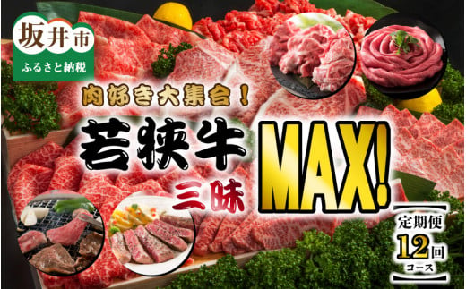 【定期便 12回コース】 肉好き大集合！若狭牛三昧MAX！！ 定期便！！ [N-3202]
