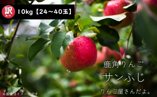 りんご屋さんだよ。のお礼の品 - 秋田県鹿角市| ふるさと納税