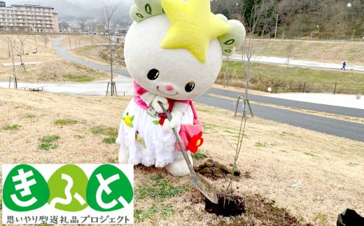 【思いやり型返礼品】AidTAKATA（みんなのゆめちゃんハウス）が植樹した桜の1年間維持管理費