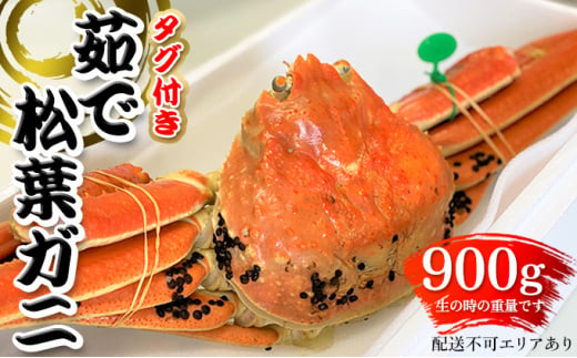 【ふるさと納税】 松葉ガニ 茹で タグ付き 900g up お届け 《2024年11月中旬〜12月中旬、もしくは、2025年1月中旬以降以降順次発送》 [№5716-0454] 860434 - 京都府宮津市