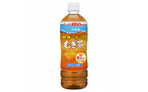 2023年6月発送開始『定期便』健康ミネラル麦茶650ml　24本(1ケース)全3回【5129001】 638118 - 兵庫県神河町