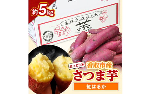 香取市産 さつまいも 紅はるか 約5kg 焼き芋 や スイートポテト にどうぞ【1066486】 312963 - 千葉県香取市