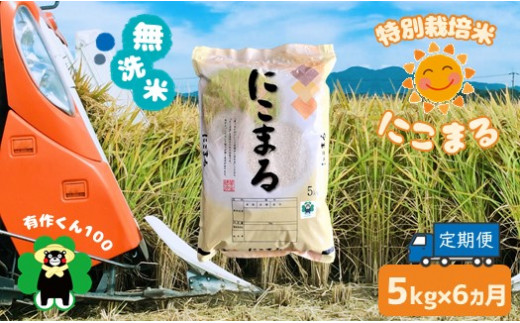 特別栽培米 「無洗米にこまる」（5kg×6ヶ月定期）熊本玉名産