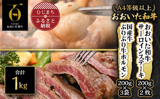 おおいた和牛サーロインステーキ&ぷりぷりホルモン(合計1kg)【1112602】