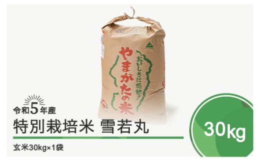 令和5年産 米 雪若丸 30kg 大石田町産 特別栽培米 玄米