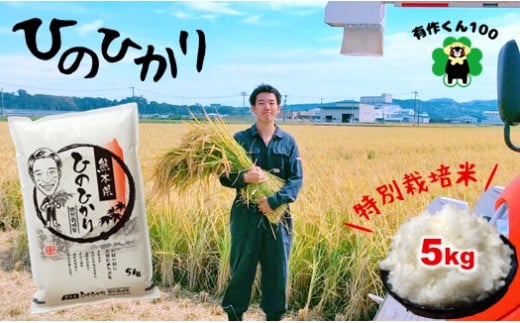 熊本玉名産 特別栽培米 ひのひかり　5kg 364712 - 熊本県玉名市