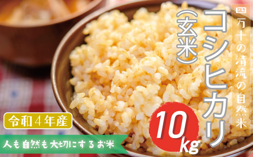 sono様専用 新米無農薬純こしひかり30㎏ 玄米