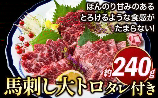 鮮馬刺し大トロ 約240g タレ付き 馬肉 冷凍 [60日以内に出荷予定(土日祝除く)] 新鮮 さばきたて 生食用 肉 熊本県球磨郡山江村 馬刺し 馬肉 希少部位 SEN