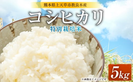 熊本県 上天草市 教良木産 コシヒカリ (特別栽培米) 米