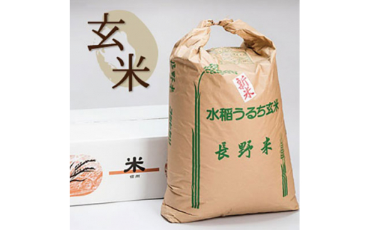 信州産コシヒカリ　30Kg  （古米）食品