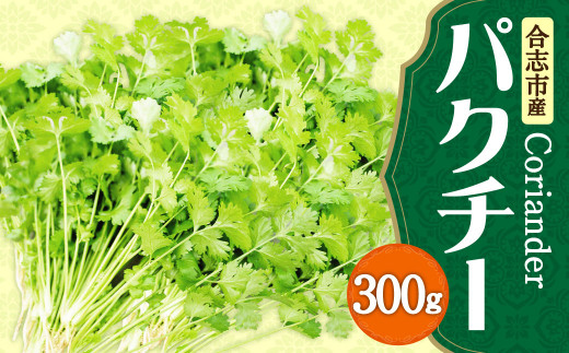 合志市産 パクチー 300g(300g×1袋) 料理 トッピング 野菜 