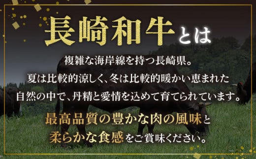 BAU019 【長崎和牛】長崎和牛満腹セット！ステーキ＆特上焼肉【総量1410g】-5