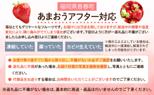 2023年2月発送】【チョイス限定】エコファーマー あまおう いちご 苺