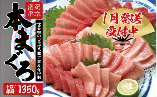 本マグロ トロ&赤身セット1350g(養殖)【8月発送】濃厚な赤身と高級部位トロの鮪好きにはたまらないセット 【串本町×北山村】 高級 クロマグロ【nks111-8】 2151104 - 和歌山県串本町