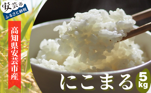 93-03 《令和6年産》安芸の豊かな自然の恵みを頂いて育ったお米「にこまる」5kg 509989 - 高知県安芸市