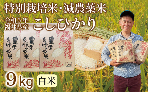 先行予約・新米〉減農薬米 こしひかり 9kg(3kg×3袋）／令和4年 福井県