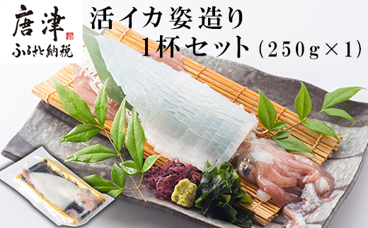 活イカ姿造り中サイズ 1杯(250g)！鮮度抜群 捌きたて瞬間冷凍 いか活造り 刺身 簡単 呼子 ギフト