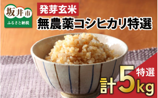 発芽玄米ご飯は凄いパワー！ 玄米10kg ４年産コシヒカリ 特栽①