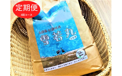 【3回定期便】令和4年産 山形県小国町産 雪若丸・5kg 609987 - 山形県小国町