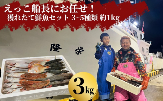 えっこ船長にお任せ！獲れたて鮮魚セット 3～5種類 約3kg（鮮魚