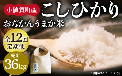 【全12回定期便】【令和6年度産】おぢかんうまか米（小値賀町産こしひかり 3kg ・精白米） [DAB013] コシヒカリ こしひかり 米 お米 白米 ご飯 精米 お弁当  常温 398946 - 長崎県小値賀町