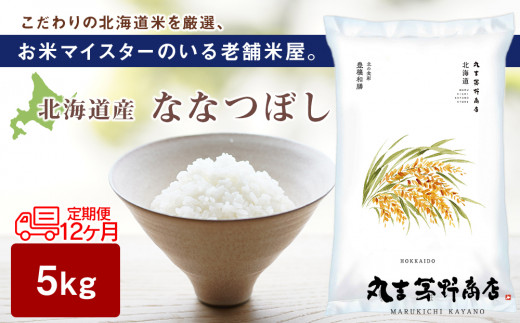 定期便12回】北海道産ななつぼし 5kg - 北海道千歳市｜ふるさと