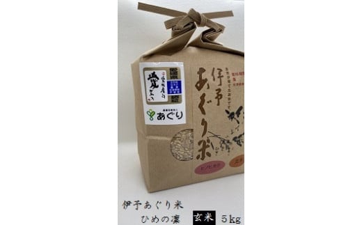 ☆令和５年産をお届けします！！☆農薬・化学肥料不使用 伊予あぐり米