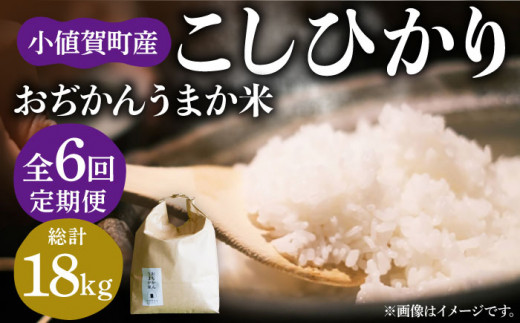 【全6回定期便】【令和6年度産】おぢかんうまか米（小値賀町産こしひかり 3kg ・精白米） [DAB012] コシヒカリ こしひかり お米 常温 398945 - 長崎県小値賀町