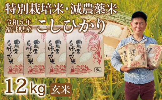 〈先行予約〉減農薬米 こしひかり 12kg（3kg×４袋）／令和5年 福井県産 （玄米）2023年10月発送 人気品種 少量サイズ便利
