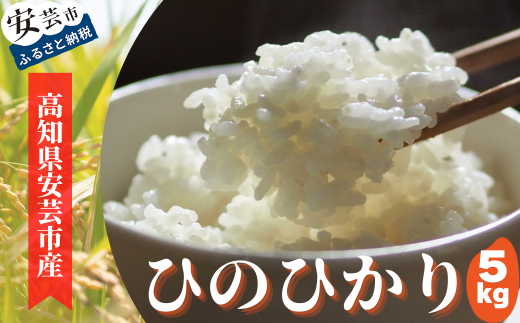 93-02 《令和6年産》安芸の豊かな自然の恵みを頂いて育ったお米「ひのひかり」5kg 509991 - 高知県安芸市