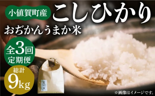 全3回定期便】おぢかんうまか米（小値賀町産こしひかり 3kg ・精白米