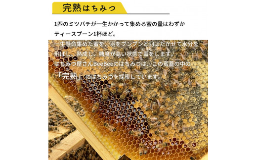 国産　アカシア蜂蜜×春の百花蜜　自家飼育、生はちみつ（非加熱）　搾りたて！西洋蜜蜂搾蜜日