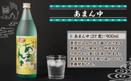 奄美大島にしかわ酒造　〈5種から2種選べる〉本格 黒糖焼酎 2本セット(900ml×2本) 計1.8L 焼酎 酒