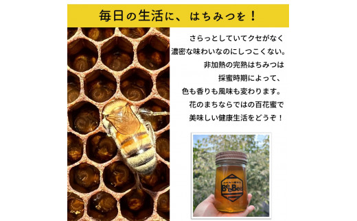 国産　アカシア蜂蜜×春の百花蜜　自家飼育、生はちみつ（非加熱）　搾りたて！1200g蜂種
