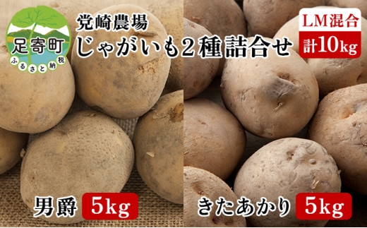 十勝足寄町 党崎農場のじゃがいも2種詰合せ計10kg（男爵5kg・きた