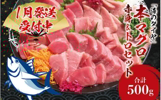 【期間限定 特別寄付額】本マグロ（養殖）トロ＆赤身セット 500g 【1月発送】高級 クロマグロ  中トロ 中とろ まぐろ マグロ 鮪 赤身 柵 じゃばらまぐろ 本マグロ 本鮪【nks110B_cp-1】 1059681 - 和歌山県太地町
