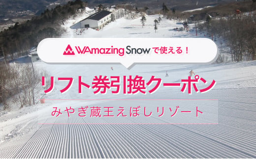 【蔵王町 みやぎ蔵王えぼしリゾート】リフト1日券と引き換え可能な4,500円分のWAmazingSnowクーポン　【04301-0461】