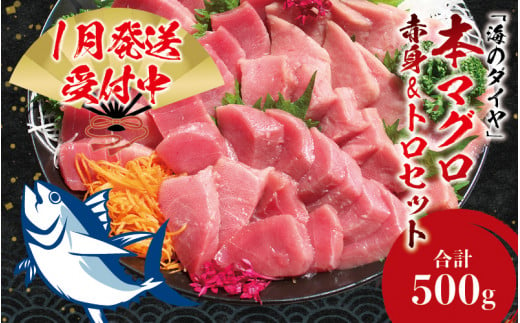 [期間限定 特別寄付額]本マグロ(養殖)トロ&赤身セット 500g [1月発送]高級 クロマグロ 中トロ 中とろ まぐろ マグロ 鮪 赤身 柵 じゃばらまぐろ 本マグロ 本鮪[nks110B_cp-1]