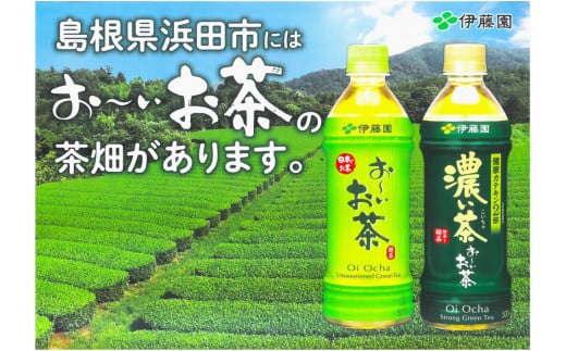 1711.お～いお茶　濃い茶ＰＥＴ　６００ｍl　２４本入り×２ケース　計４８本