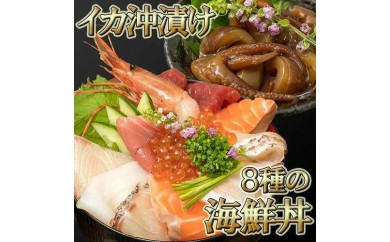 福岡市グルメ糸島海鮮堂のどんぶり食べ比べ 5食セット - 福岡県福岡市